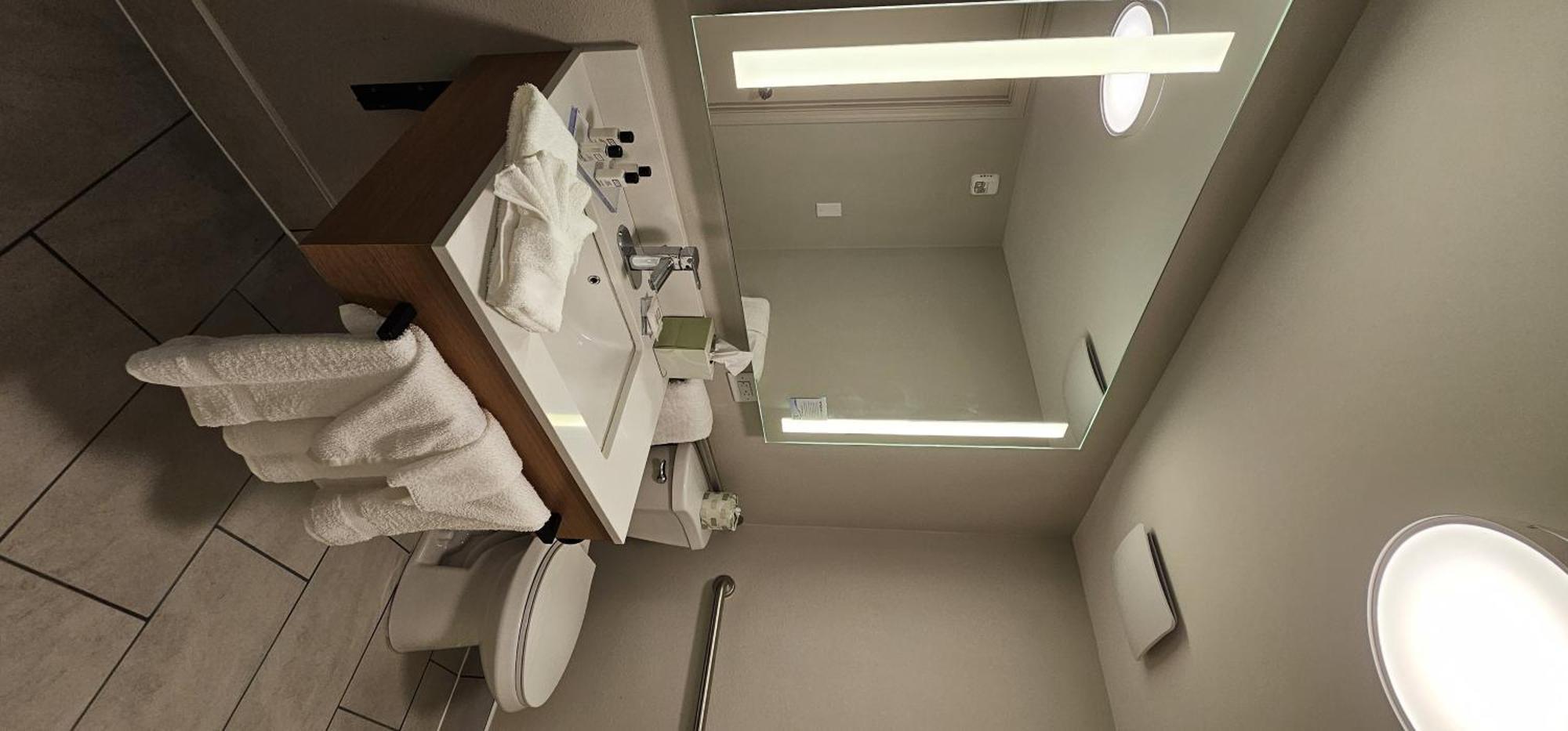 Kamer met Kingsize Bed en Rolstoeltoegankelijke Douche - Toegankelijk voor Gasten die Beperkt Mobiel zijn/Rookvrij