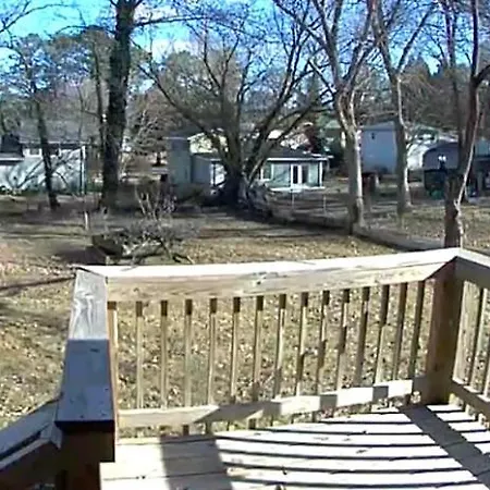 Big, 4 - Bedroom Home With Backyard-2