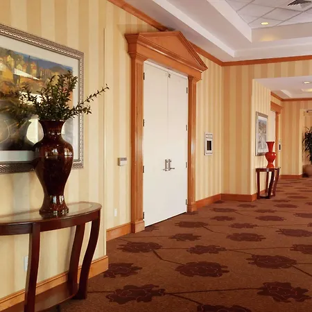 Hilton Garden Inn Atlanta Airport/Millenium Center-2
